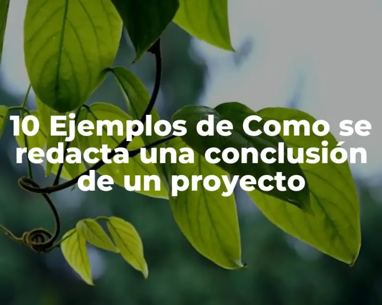 10 Ejemplos de Como se redacta una conclusión de un proyecto