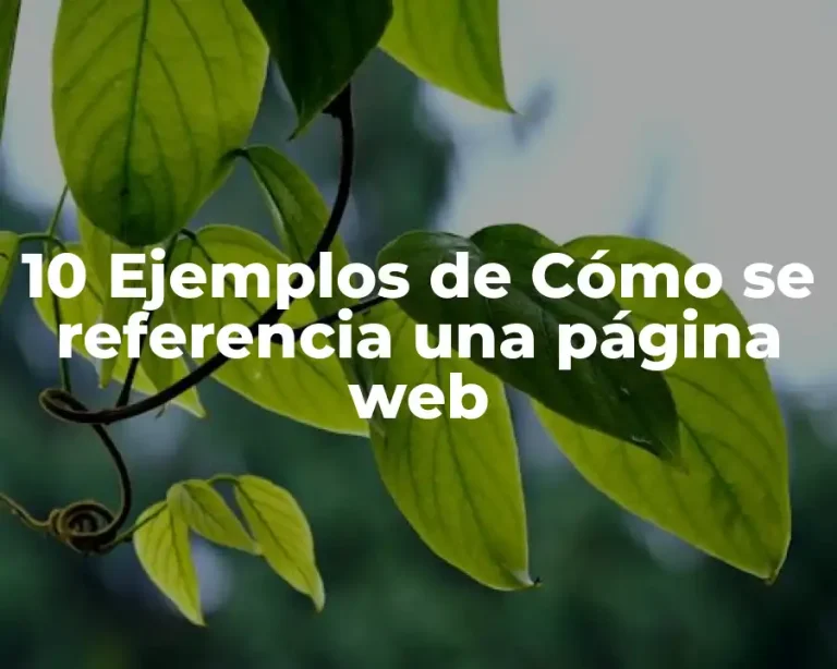 10 Ejemplos de Cómo se referencia una página web