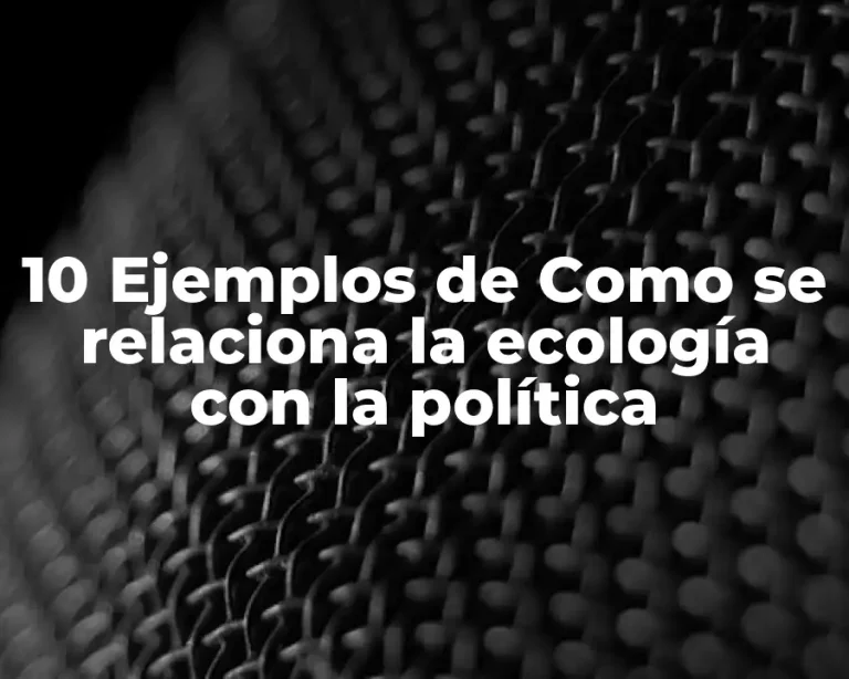 10 Ejemplos de Como se relaciona la ecología con la política
