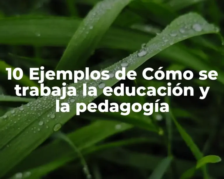 10 Ejemplos de Cómo se trabaja la educación y la pedagogía