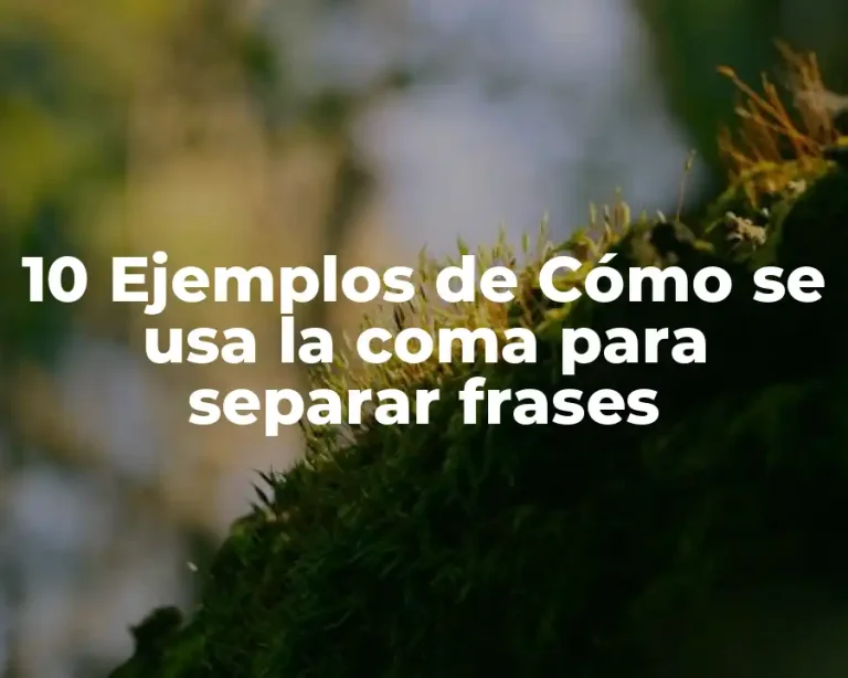 10 Ejemplos de Cómo se usa la coma para separar frases