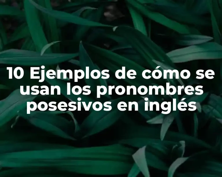 10 Ejemplos de cómo se usan los pronombres posesivos en inglés
