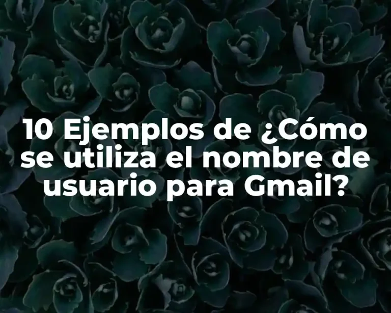 10 Ejemplos de ¿Cómo se utiliza el nombre de usuario para Gmail?