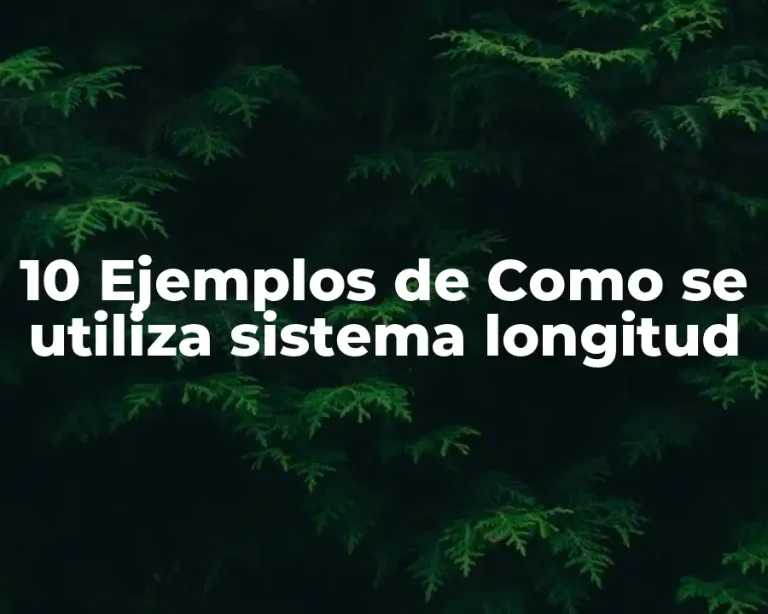 10 Ejemplos de Como se utiliza sistema longitud