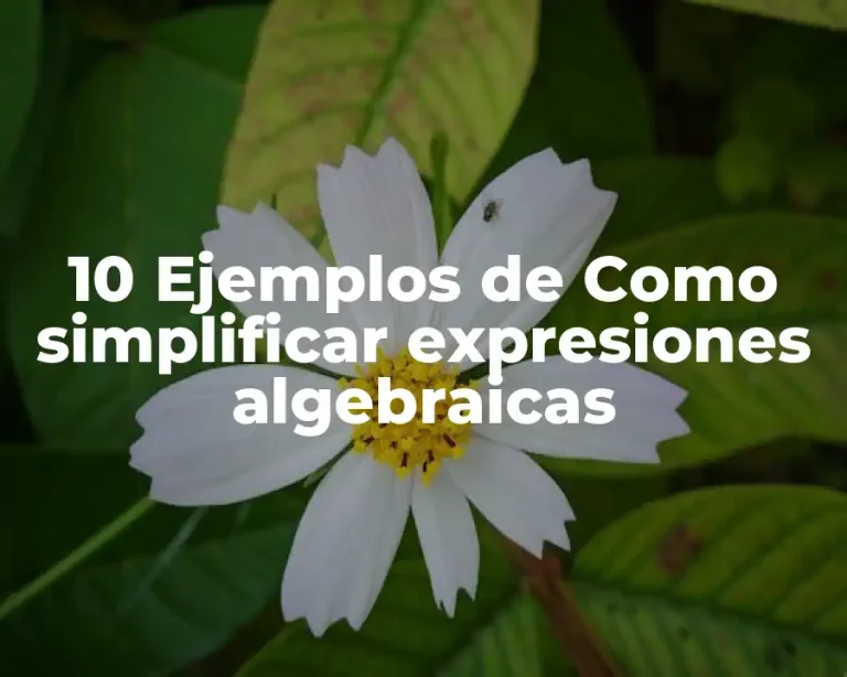10 Ejemplos de Como simplificar expresiones algebraicas