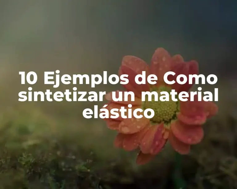 10 Ejemplos de Como sintetizar un material elástico