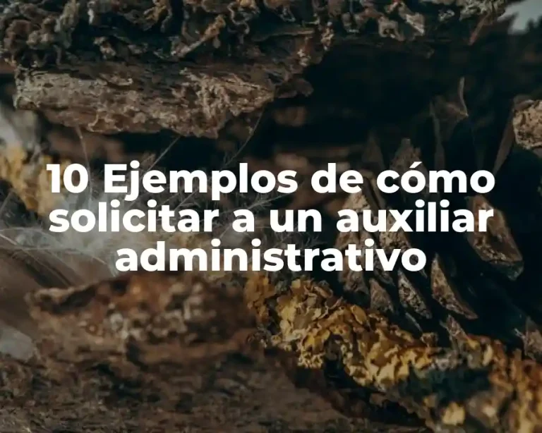 10 Ejemplos de cómo solicitar a un auxiliar administrativo