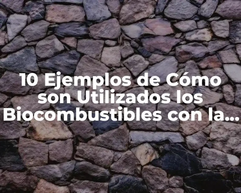 10 Ejemplos de Cómo son Utilizados los Biocombustibles con la Biotecnología