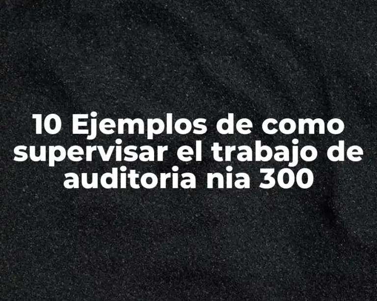 10 Ejemplos de como supervisar el trabajo de auditoria nia 300