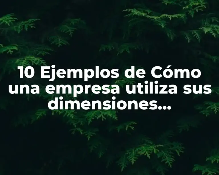 10 Ejemplos de Cómo una empresa utiliza sus dimensiones sustentables