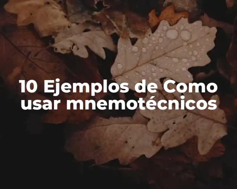 10 Ejemplos de Como usar mnemotécnicos