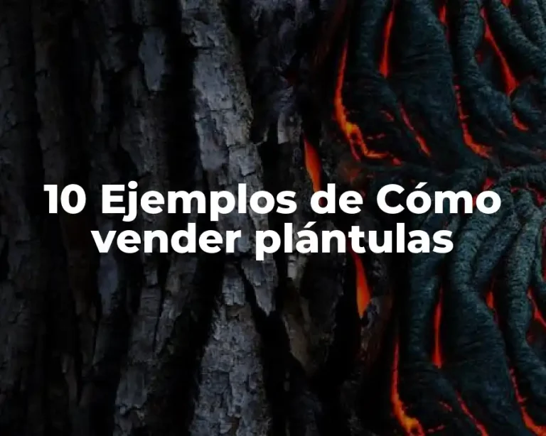 10 Ejemplos de Cómo vender plántulas