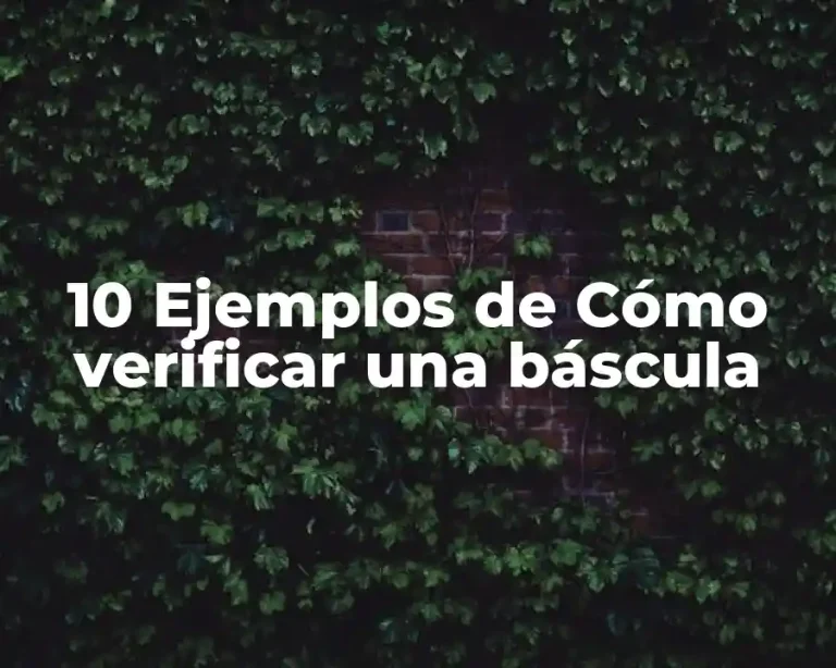 10 Ejemplos de Cómo verificar una báscula
