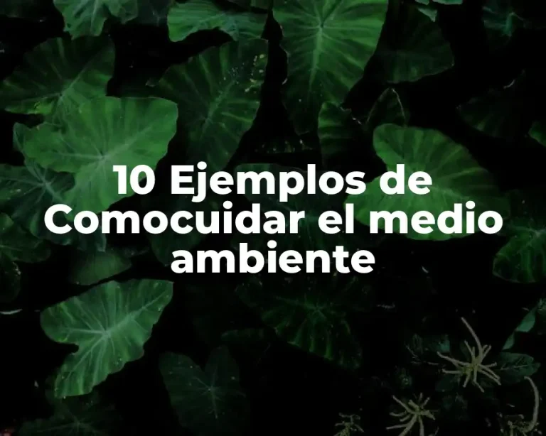 10 Ejemplos de Comocuidar el medio ambiente