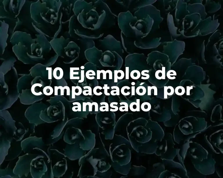 10 Ejemplos de Compactación por amasado