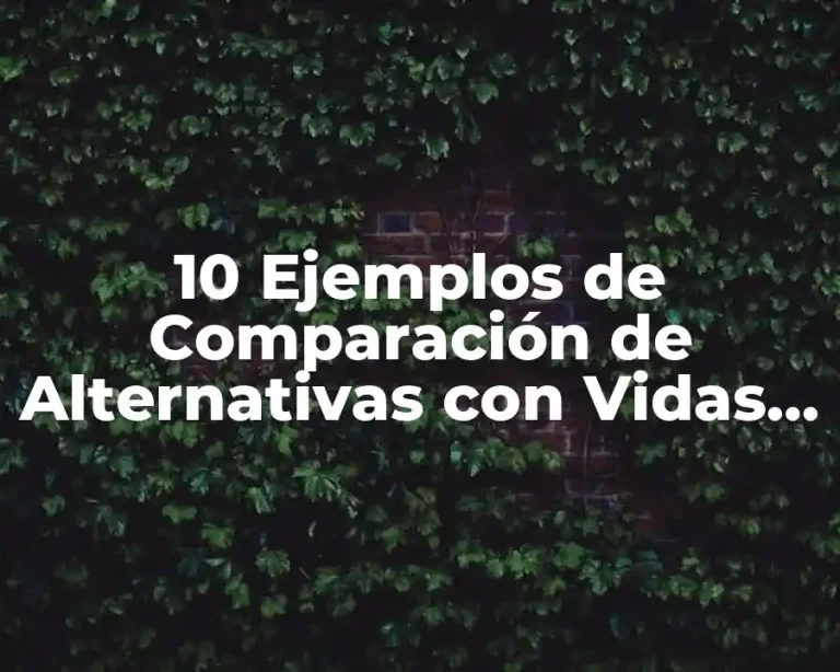 10 Ejemplos de Comparación de Alternativas con Vidas Útiles Iguales