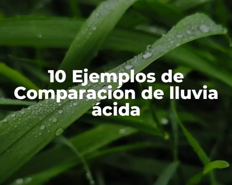 10 Ejemplos de Comparación de lluvia ácida