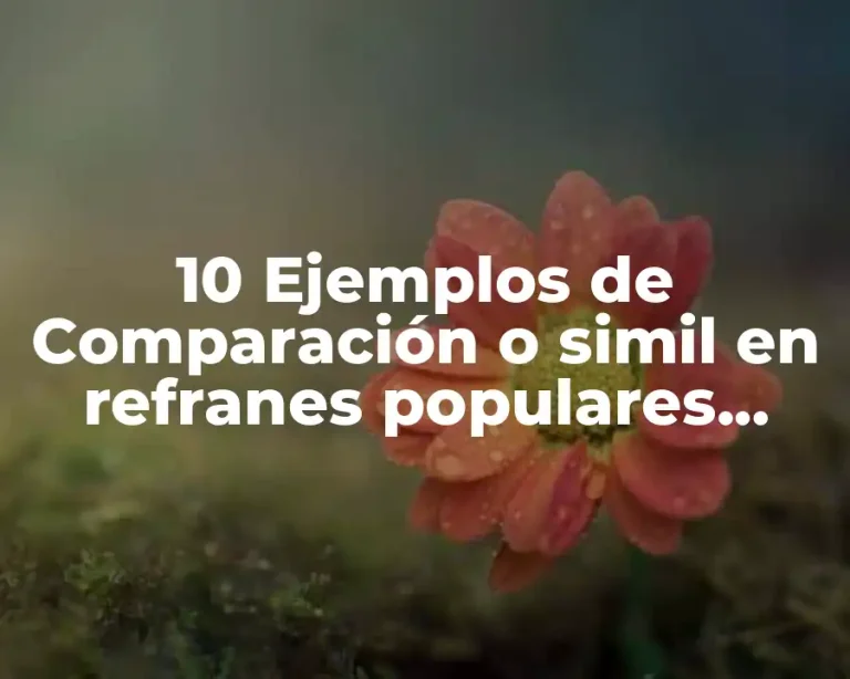 10 Ejemplos de Comparación o simil en refranes populares dichos