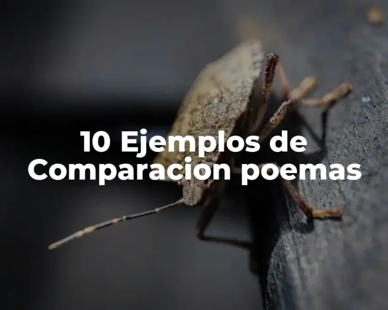 10 Ejemplos de Comparacion poemas