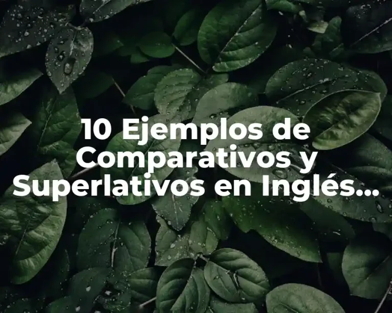 10 Ejemplos de Comparativos y Superlativos en Inglés Ejercicios