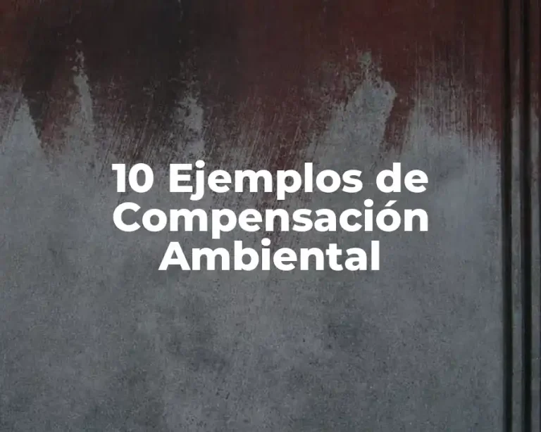 10 Ejemplos de Compensación Ambiental