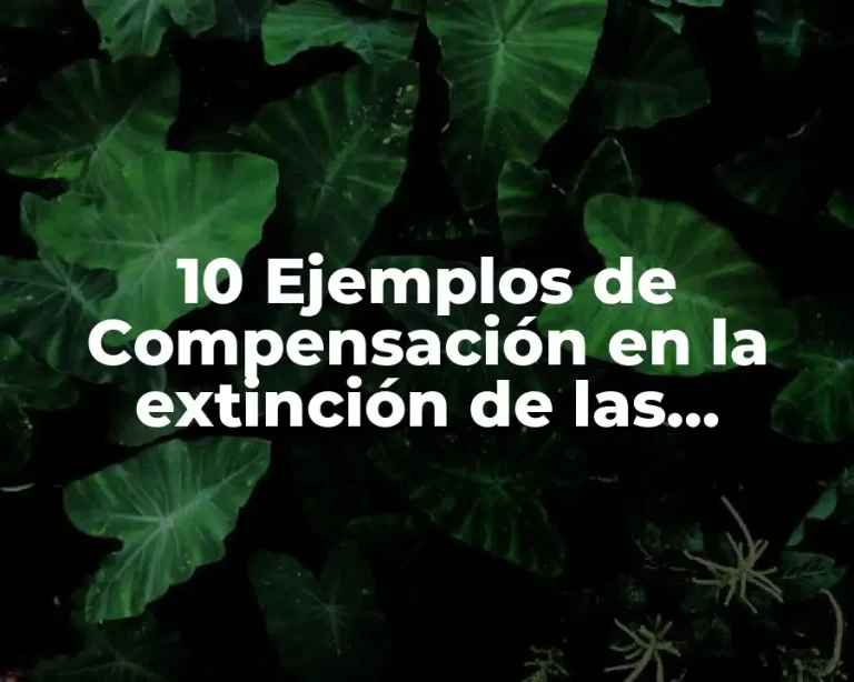 10 Ejemplos de Compensación en la extinción de las obligaciones
