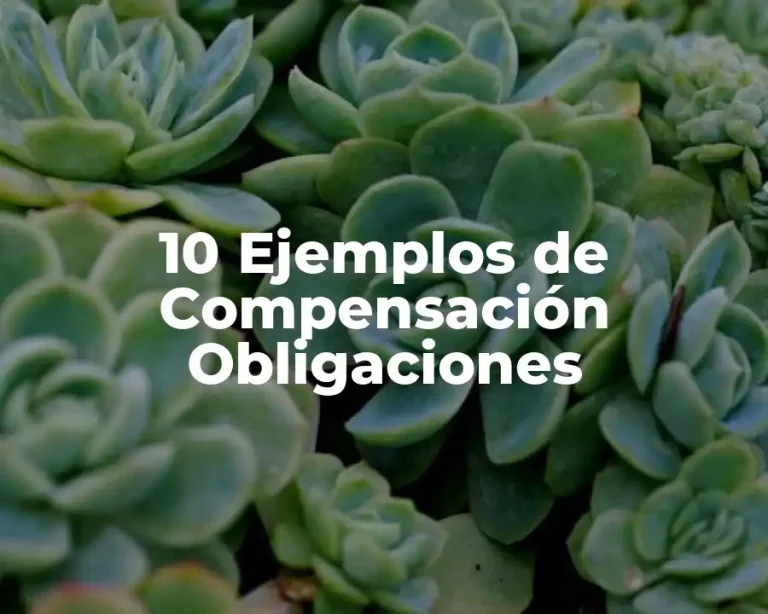 10 Ejemplos de Compensación Obligaciones