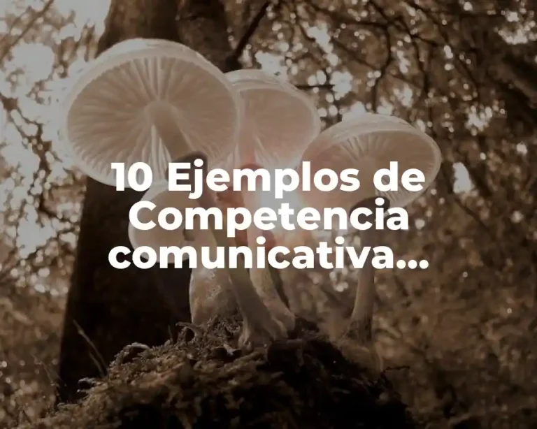 10 Ejemplos de Competencia comunicativa lingüística