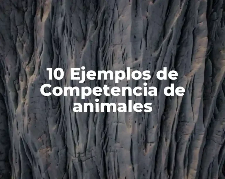 10 Ejemplos de Competencia de animales