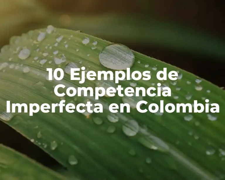 10 Ejemplos de Competencia Imperfecta en Colombia