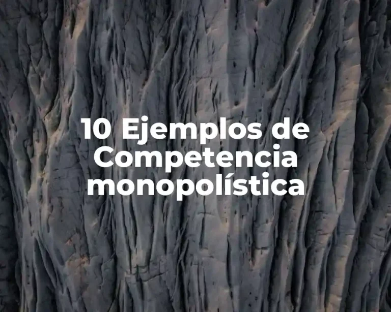 10 Ejemplos de Competencia monopolística