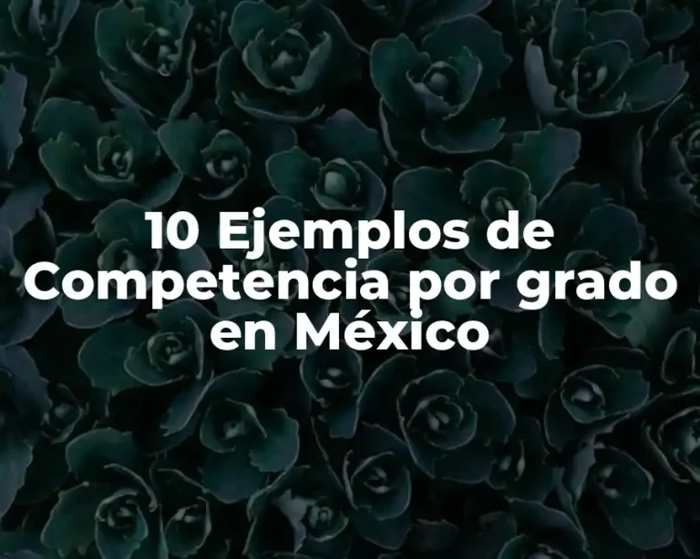 10 Ejemplos de Competencia por grado en México