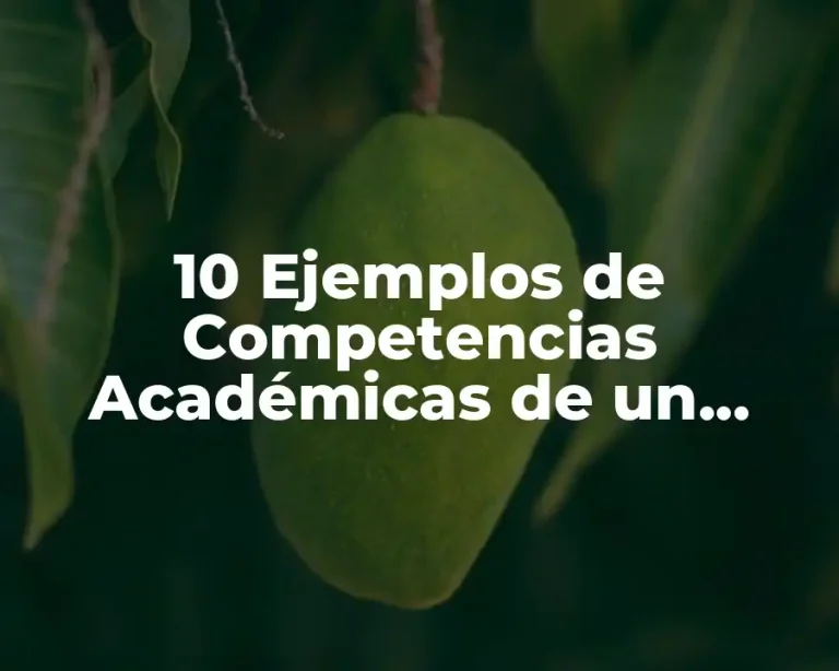 10 Ejemplos de Competencias Académicas de un Tema