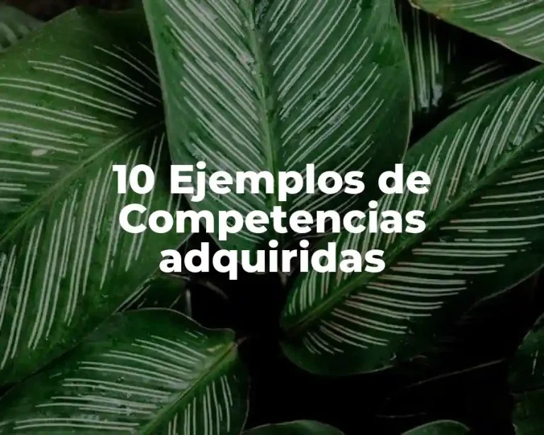 10 Ejemplos de Competencias adquiridas
