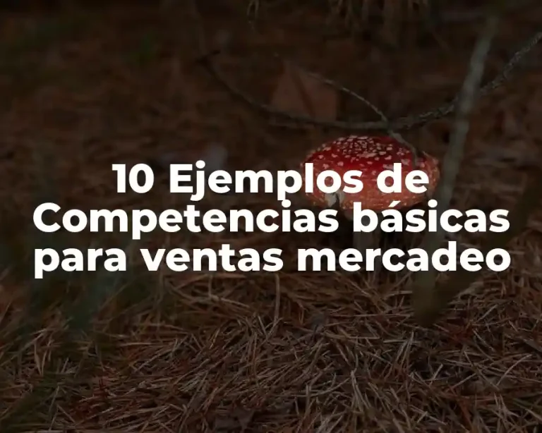 10 Ejemplos de Competencias básicas para ventas mercadeo
