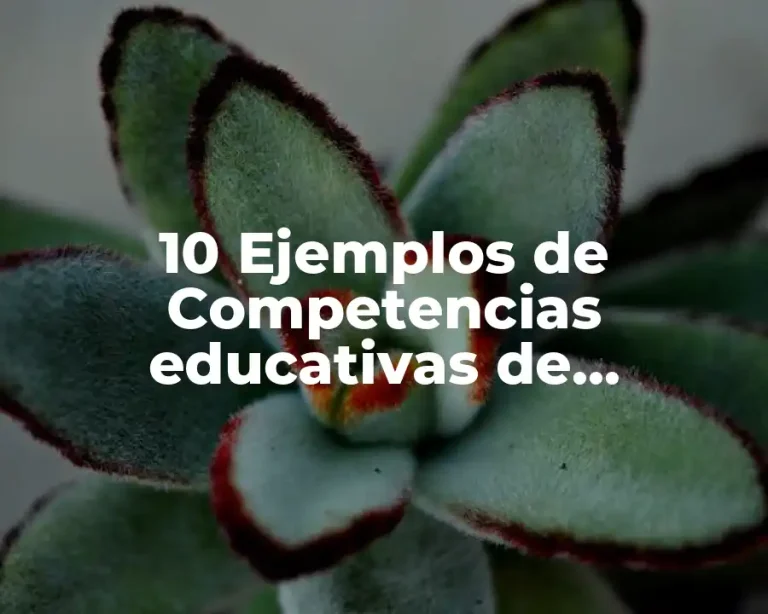 10 Ejemplos de Competencias educativas de enseñanza
