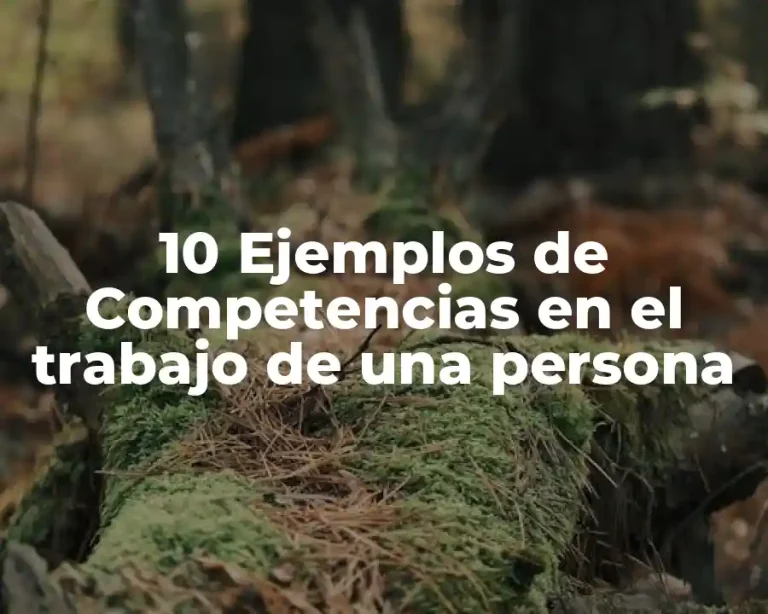 10 Ejemplos de Competencias en el trabajo de una persona