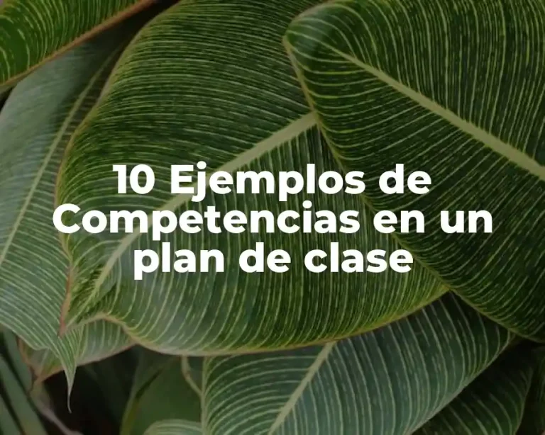 10 Ejemplos de Competencias en un plan de clase