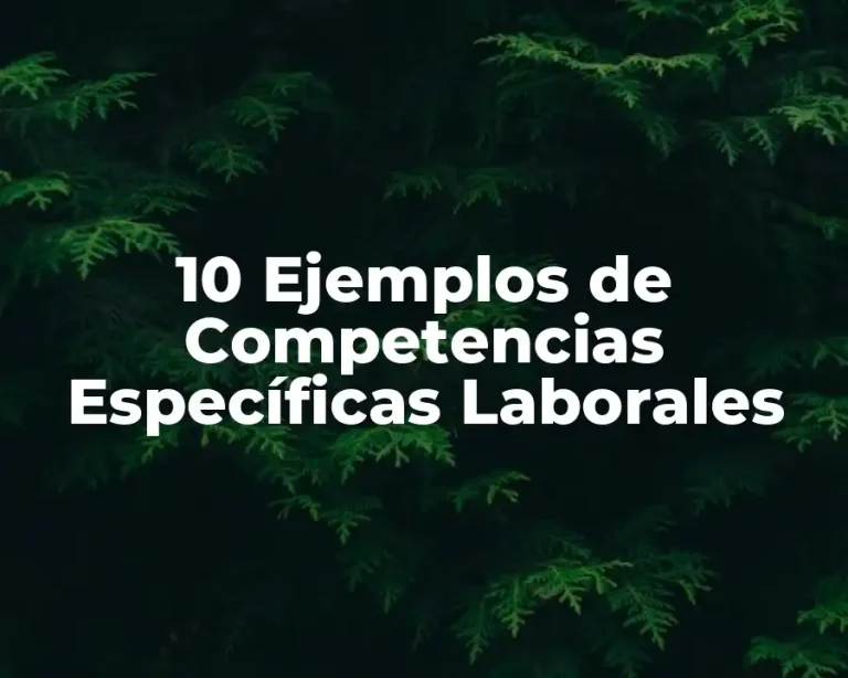 10 Ejemplos de Competencias Específicas Laborales