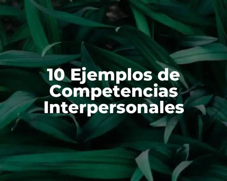 10 Ejemplos de Competencias Interpersonales