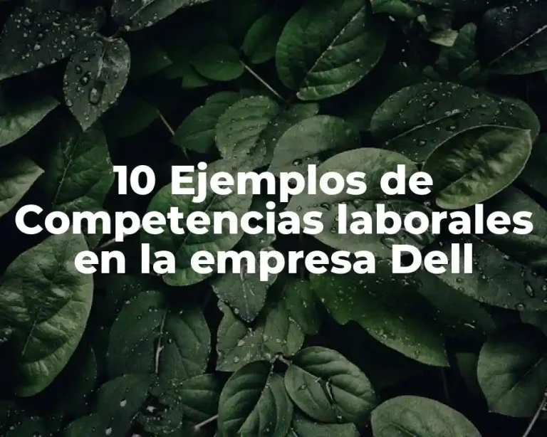 10 Ejemplos de Competencias laborales en la empresa Dell