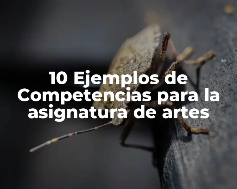 10 Ejemplos de Competencias para la asignatura de artes
