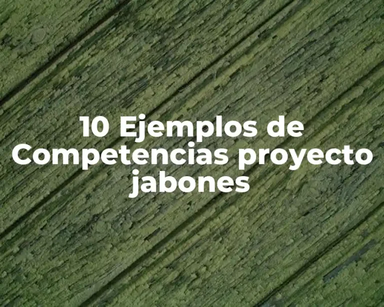 10 Ejemplos de Competencias proyecto jabones