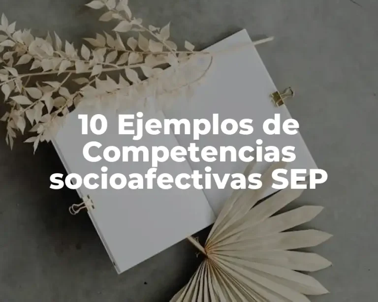 10 Ejemplos de Competencias socioafectivas SEP