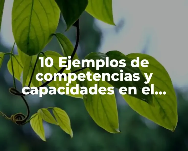 10 Ejemplos de competencias y capacidades en el modelo ebc