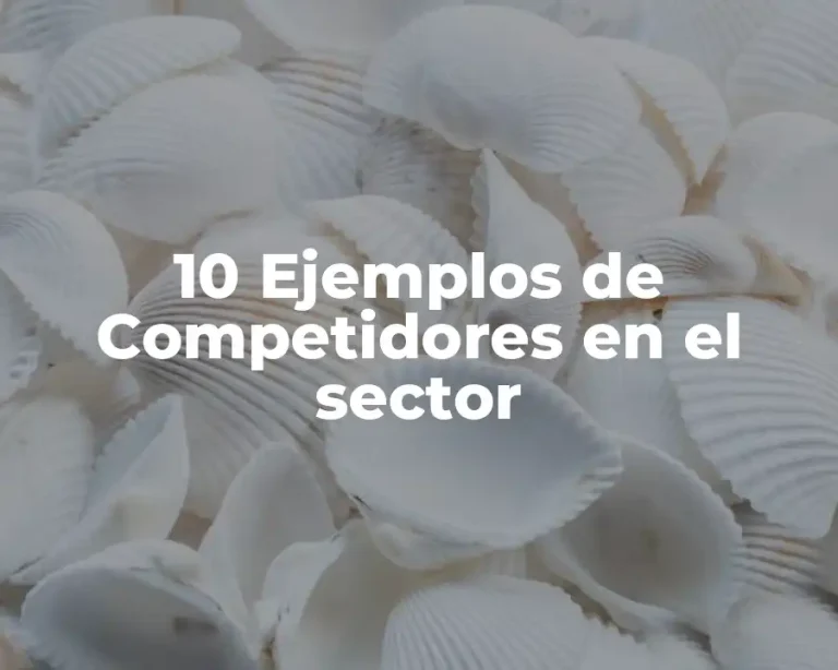 10 Ejemplos de Competidores en el sector