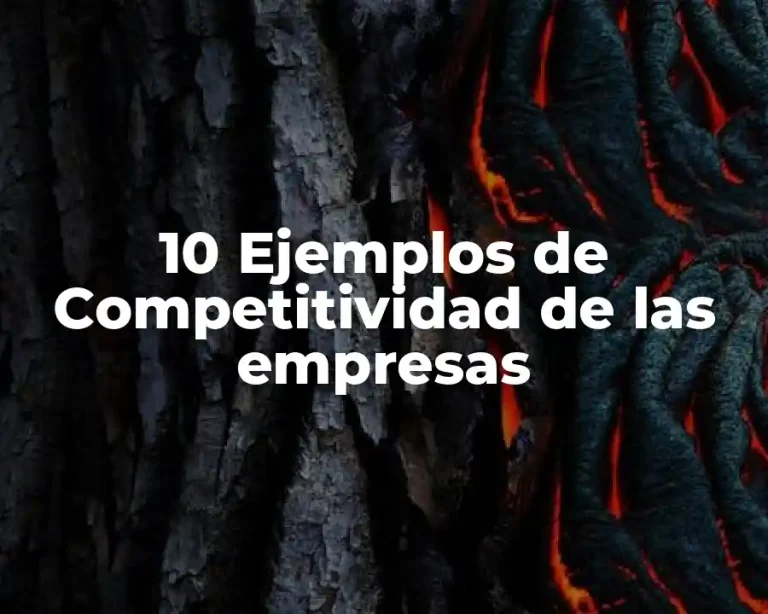 10 Ejemplos de Competitividad de las empresas