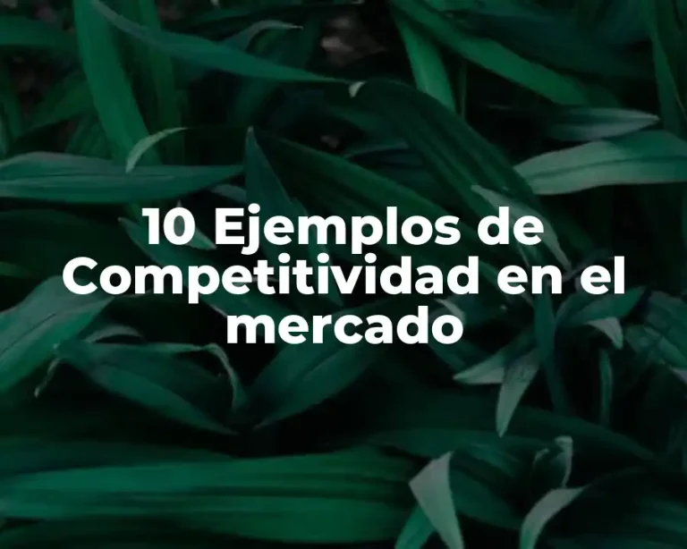 10 Ejemplos de Competitividad en el mercado