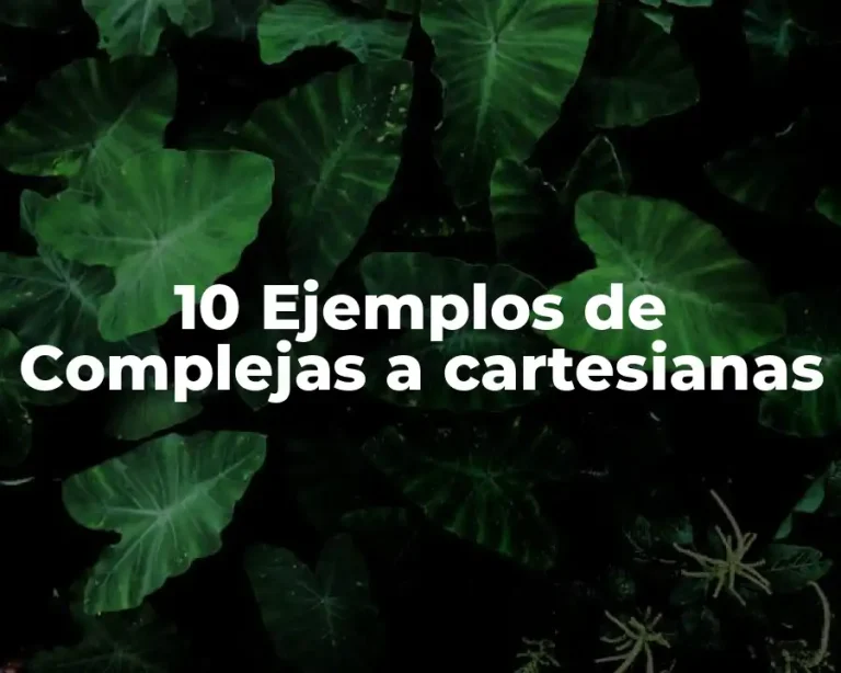 10 Ejemplos de Complejas a cartesianas