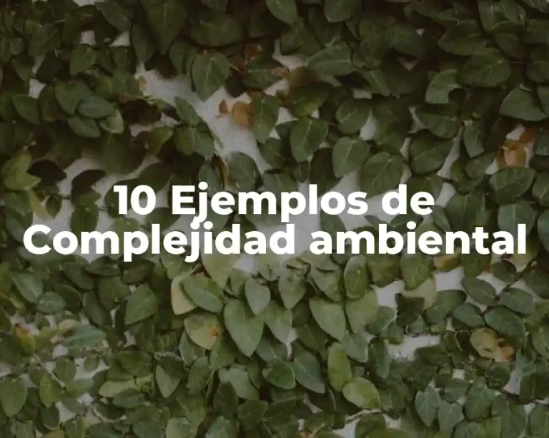 10 Ejemplos de Complejidad ambiental